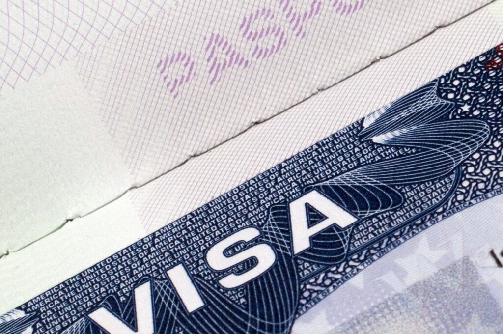 Visa Screening Software 2026